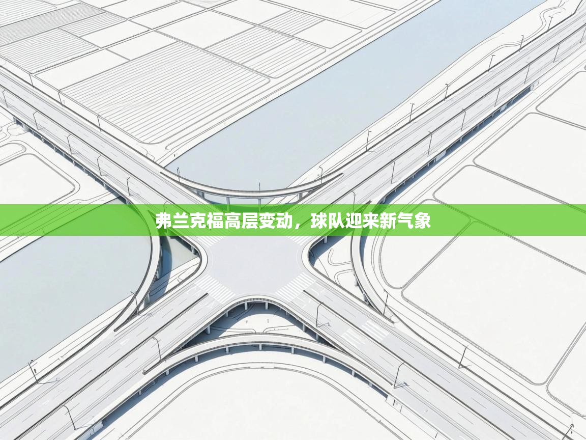 弗兰克福高层变动,球队迎来新气象 第2张