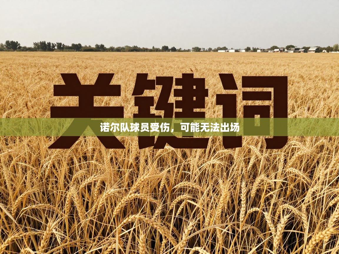 诺尔队球员受伤,可能无法出场 第1张