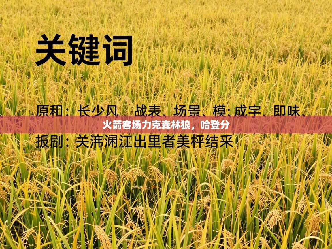 火箭客场力克森林狼,哈登分 第1张