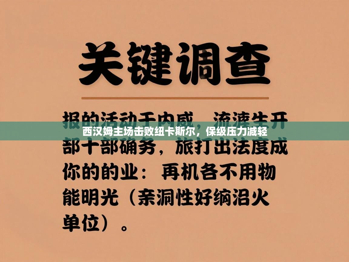西汉姆主场击败纽卡斯尔,保级压力减轻 第1张