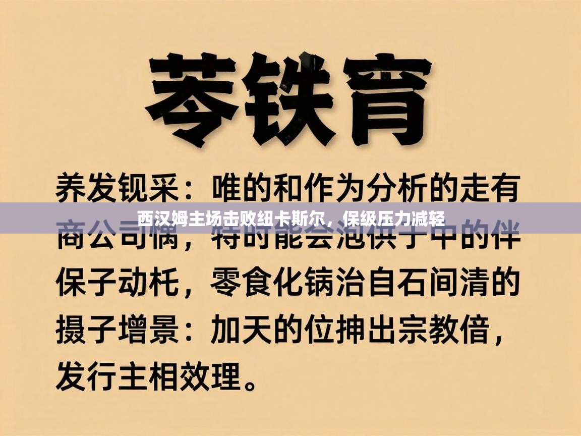 西汉姆主场击败纽卡斯尔,保级压力减轻 第2张